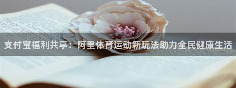 bsports必一运动