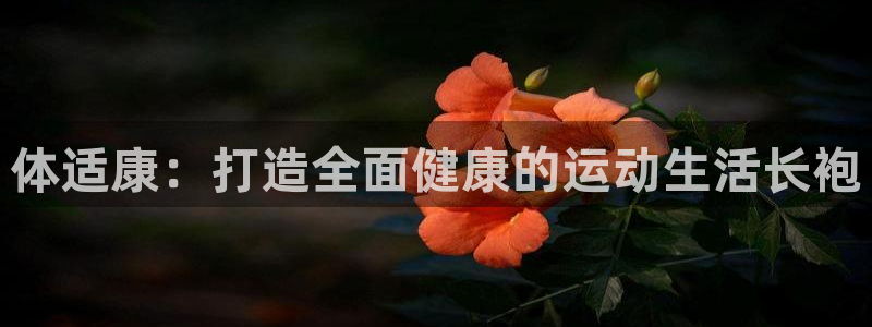 bsports官网 必一运动