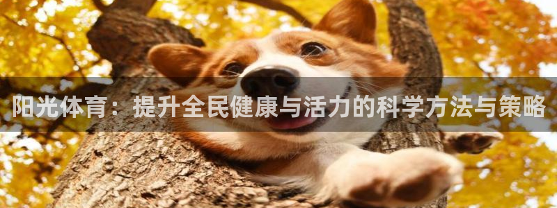 必一运动体育官网入口