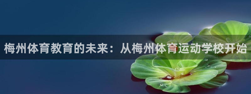 必一运动体育