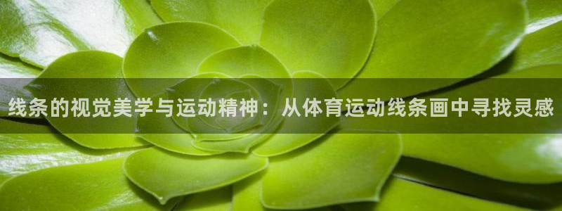 必一运动app