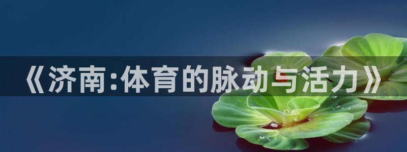 bsport必一运动
