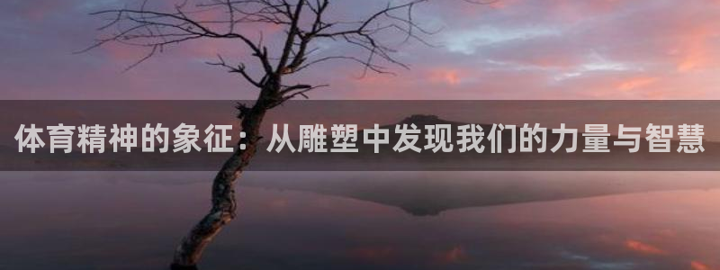 必一运动体育官网入口