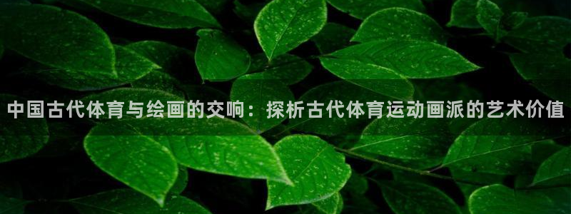 必一运动官网入口